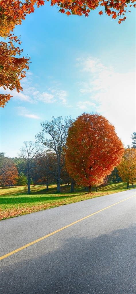 1125x2436 Resolution Road Markings Autumn Iphone Xsiphone 10iphone