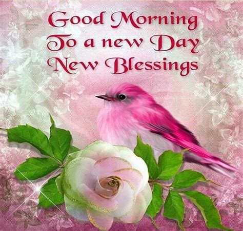 Looking for the best good morning blessings pictures, photos & images? Good Morning, To A New Day New Blessings Pictures, Photos ...