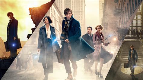 Movie Fantastic Beasts And Where To Find Them Hd Wallpaper