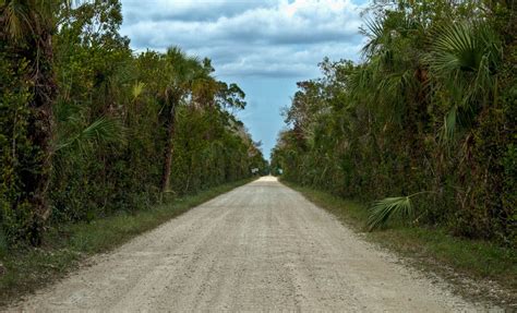 Best Time For Loop Road Scenic Drive In Florida 2024 Best Season