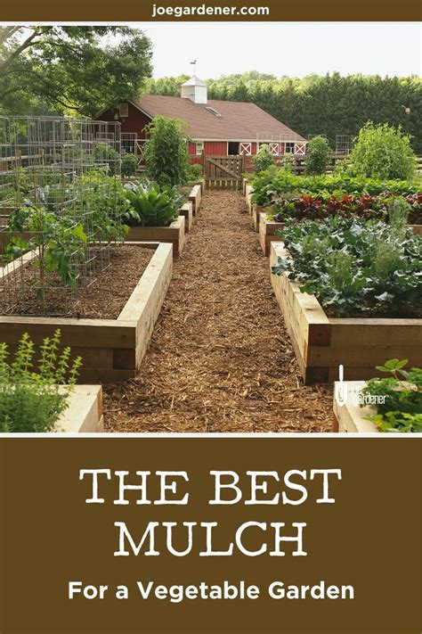 Best Mulch For A Vegetable Garden Mulch For Vegetable Garden Garden