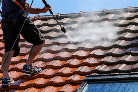 Three Easy Ways To Clean A Tile Roof Just Clean Property Care