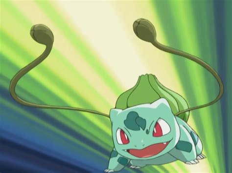 Image May Bulbasaur Vine Whippng Pokémon Wiki Fandom Powered By