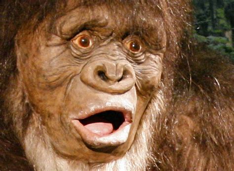 Is Bigfoot Real Renton Museum Explores The Myth Kirkland Wa Patch
