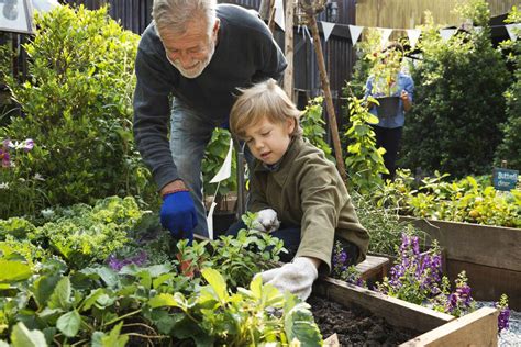 Gardening With Kids Kidzu