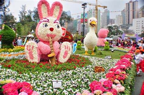 Hong Kong Flower Show 2011 At Victoria Park Hong Kong Trip Day 3