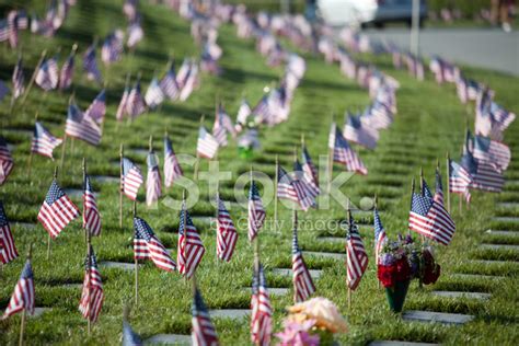 Memorial Day Flags At The Cemetery Stock Photo Royalty Free Freeimages