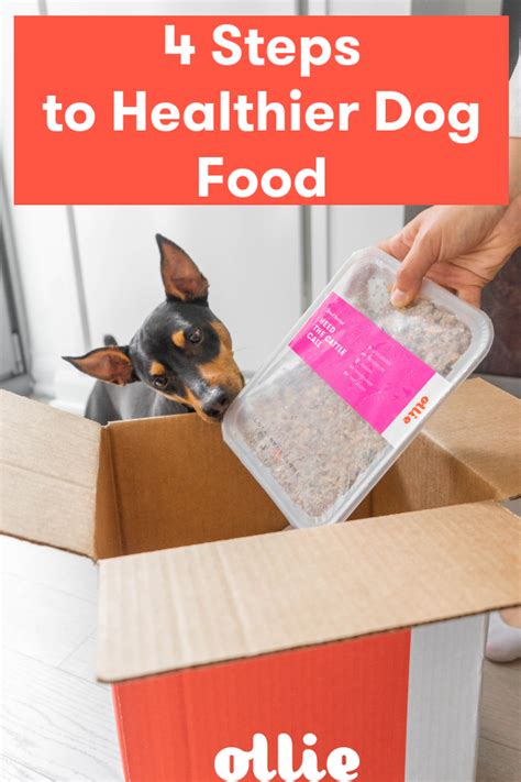 A dog's diet is vital to its health, and therefore to treat excess weight there is nothing better than making a dietary review and naturally solve this condition through a better, more balanced diet. Feeding your dog healthy and wholesome food is one of the ...