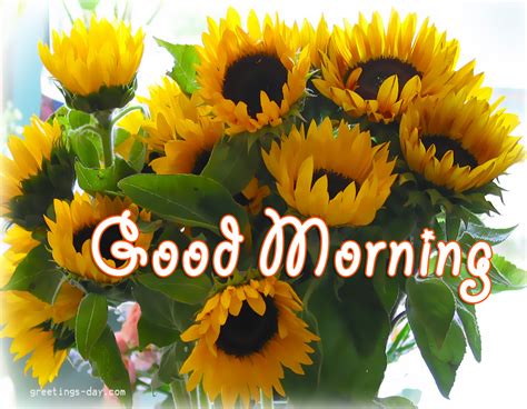 Good morning wishes for your wife. Good Morning - Online Images, Photos and Messages.