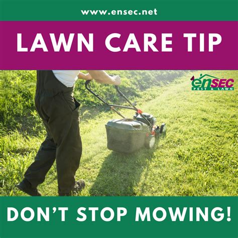 Pin By Ensec Pest And Lawn On Lawn Care Lawn Care Lawn Care Tips Mowing