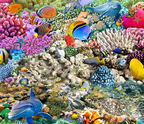 3d Bright Colorful Sea Floor Mural Aj Wallpaper