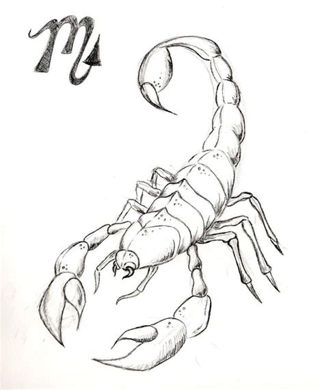 Handwork For Tattoo Scorpio Art Sketches Scorpion