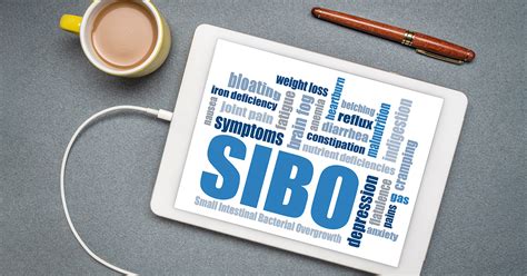 Sibo Vs Ibs Important Symptoms Quintron Instrument Co