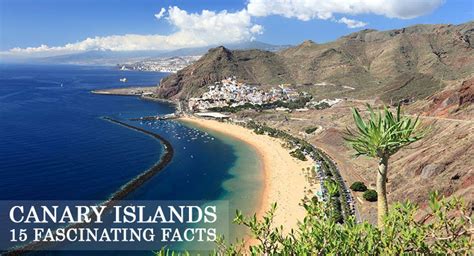 15 Fascinating Facts About The Canary Islands Insuremyholidayie