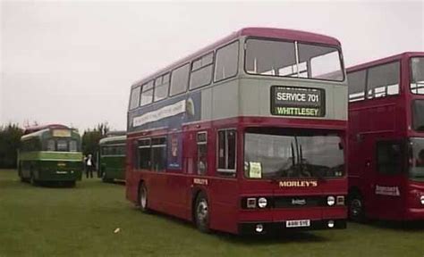 Morley S SHOWBUS ANGLIA BUS IMAGE MINI GALLERY