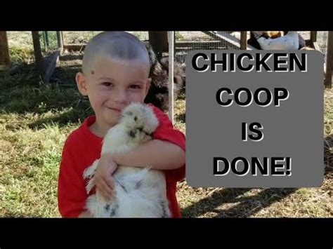 Fliesen dirkes hauptkanal rechts 85 26871 papenburg. FINISHED CHICKEN COOP, FLIES, AND HOPSCOTCH - YouTube