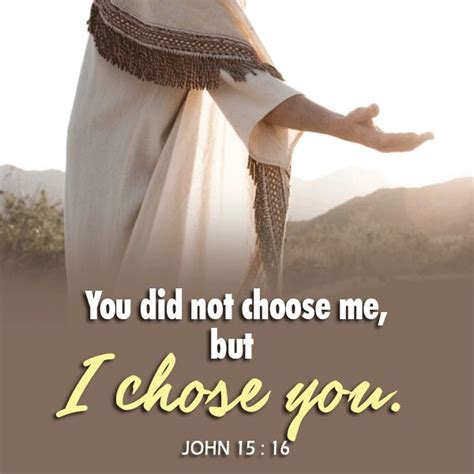 You Did Not Choose Me But I Chose You John 1516 Bible Words Bible