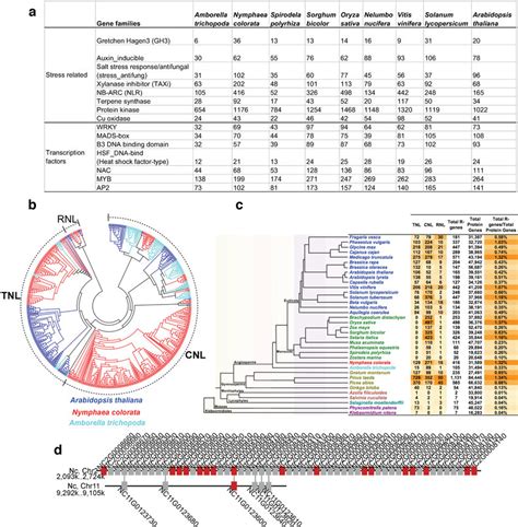 Expanded Stress Related And Transcription Factor Gene Families In The