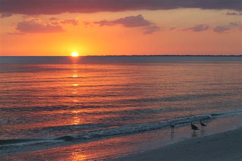 Gulf Coast Sunset Beach Scenes Scenery Scenes