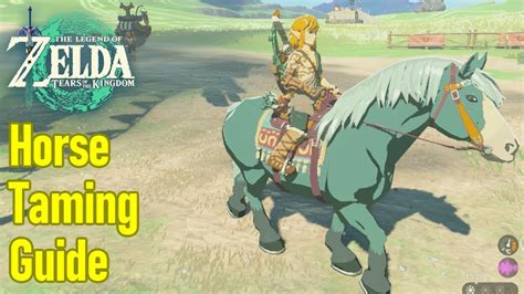 Zelda Tears Of The Kingdom Horse Guide Taming Stables Pony Points