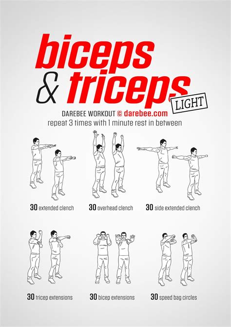 Workout Routine Bicep Workout At Home No Equipment Images