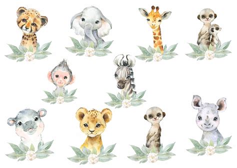 Png Set Of 10 Tropical Jungle Safari Animals Kids Etsy México