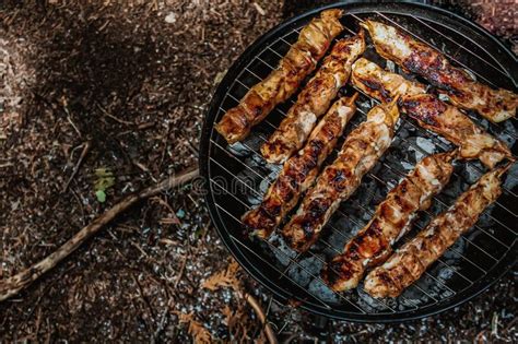 Meat On Charcoal Grill Stock Photo Image Of Cooking 32861596