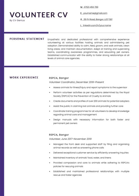 Volunteer Cv Example Template And 18 Skills To List