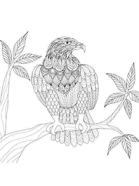 eagle coloring pages  adults    print