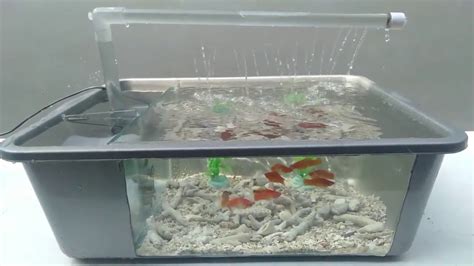 Akan saya buat lagi aquarium ikan cupang dari barang. Aquarium dari barang bekas yang mudah dibuat - YouTube