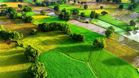 Aerial View Of Rice Fields In Mekong Delta Tri Ton Town An Giang Province Vietnam Windows