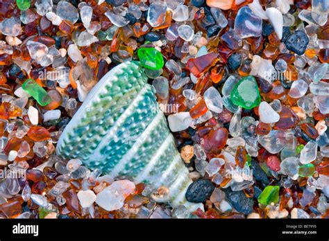 Seashell At Glass Beach Kauai Hawaii Stock Photo Alamy