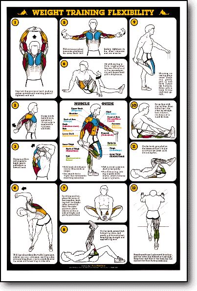 Weight Training Flexibility Fitness Chart F13