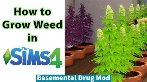 Sims 4 Weed Mod