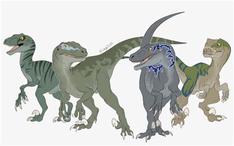 Velociraptor Drawing Jurassic Park Toronto Raptors Raptor Squad