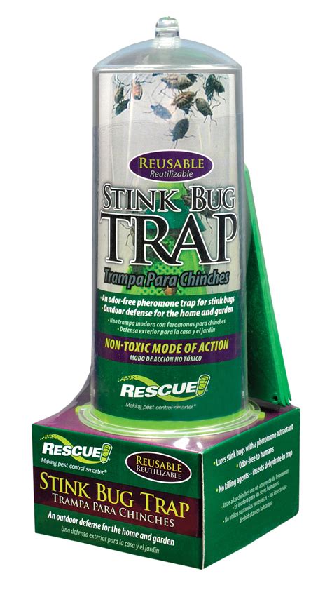 Stink Bug Trap Insect Traps At