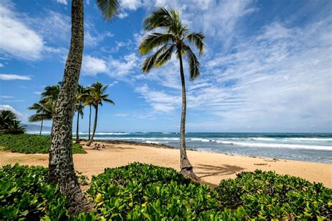 11 Best North Shore Oahu Beaches In Hawaii