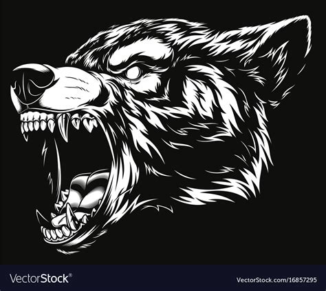 Head Ferocious Wolf Royalty Free Vector Image Vectorstock