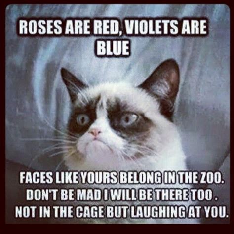 Best Poem Grumpy Cat Humor Grumpy Cat Quotes Funny Grumpy Cat Memes