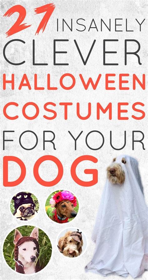 27 Insanely Clever Halloween Costumes For Your Dog Dog Ghost Costume