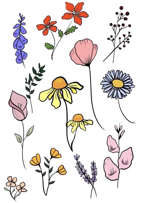 Digital Art Flowers Cute Flower Drawing Wildflower Drawing Easy