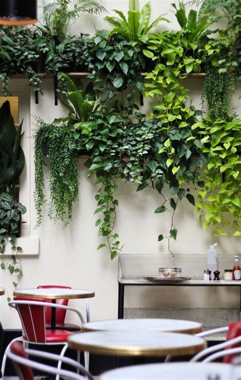 20 Fresh And Modern Green Wall To Your Interiors Homemydesign