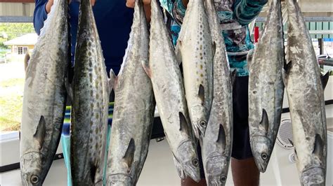 Trinidad And Tobago Fishing For Kingfish And Carite 2020 Youtube