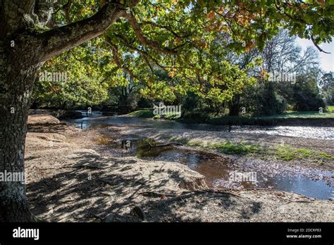 Sunny Riverbank In Hampshire Hi Res Stock Photography And Images Alamy