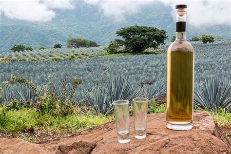 Worlds 10 Most Expensive Tequila Bottles Super High End Tequila 2023