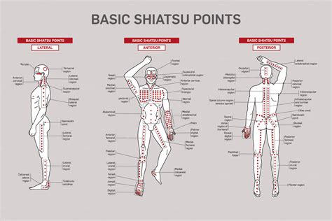 Basic Shiatsu Points Male Figure Healthcare Illustrations ~ Creative Market