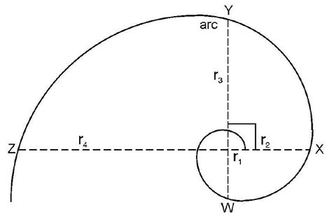 1 618 Nombre D Or Wikipedia - Fibonacci in Nature: The Golden Ratio and the Golden Spiral :: The