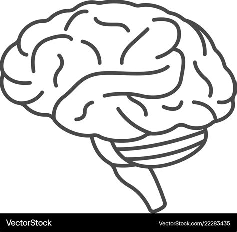 Human Brain Icon Outline Style Royalty Free Vector Image