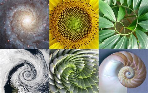 The Golden Ratio φ And The Fibonacci Sequence