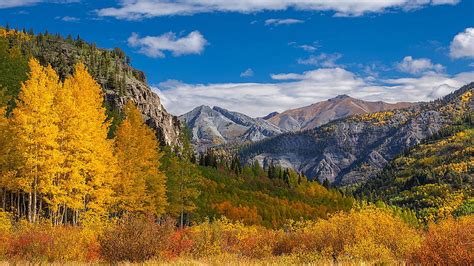 Carpet Of Colors Near Ouray Colorado Fall Landscape Clouds Trees